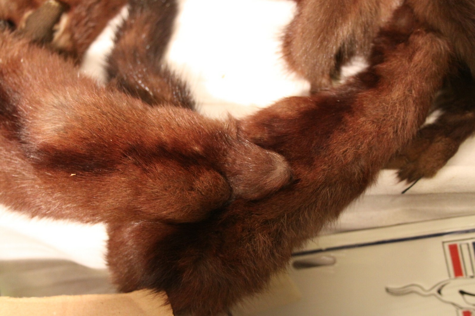 VTG Mink Stole Wrap Collar Scarf Full Bodies 3 Pelt