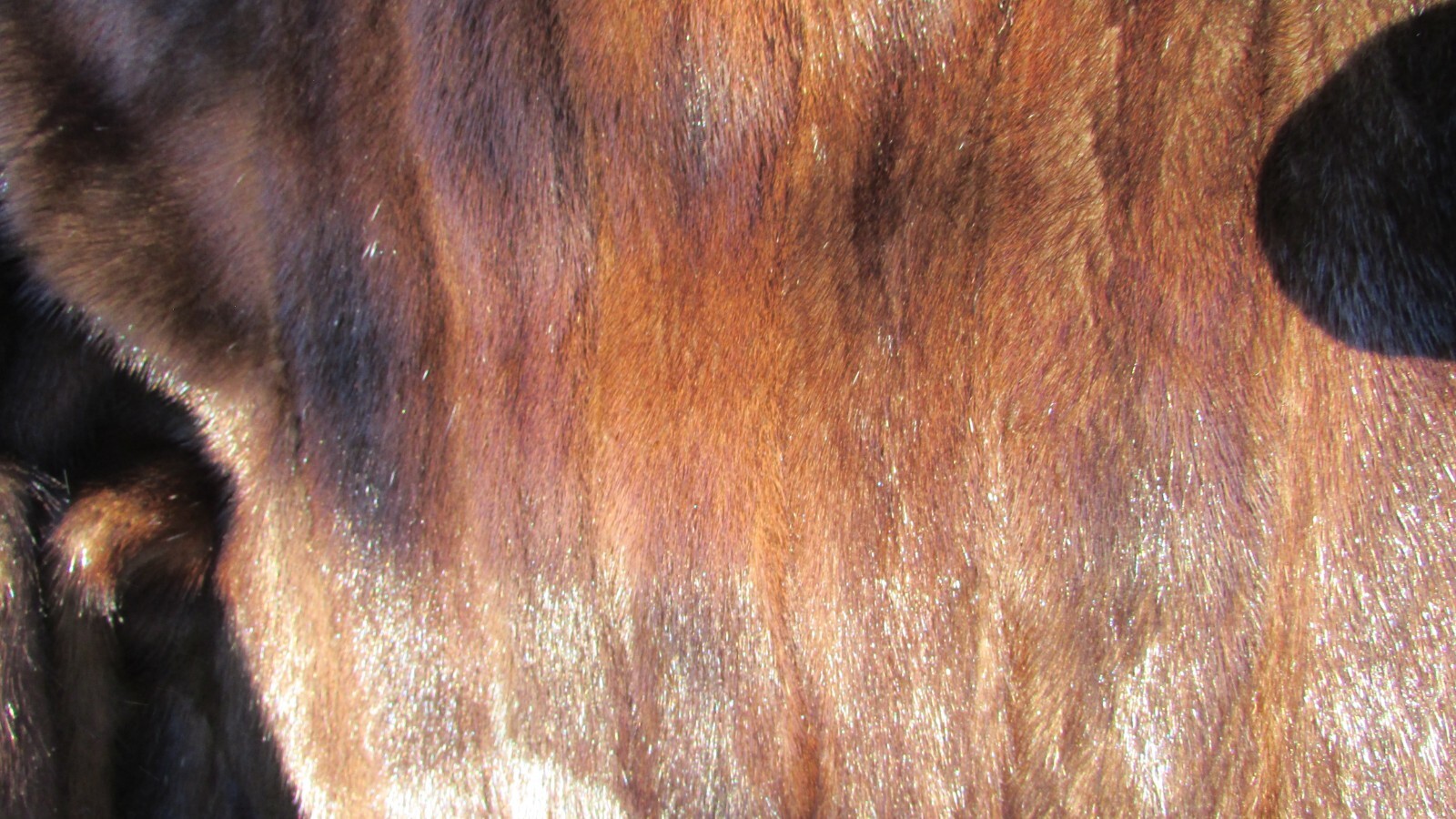 Very Finest Mahogany Full Length Natural Ranch Mink Fur Coat HENIG FURS 53″ long