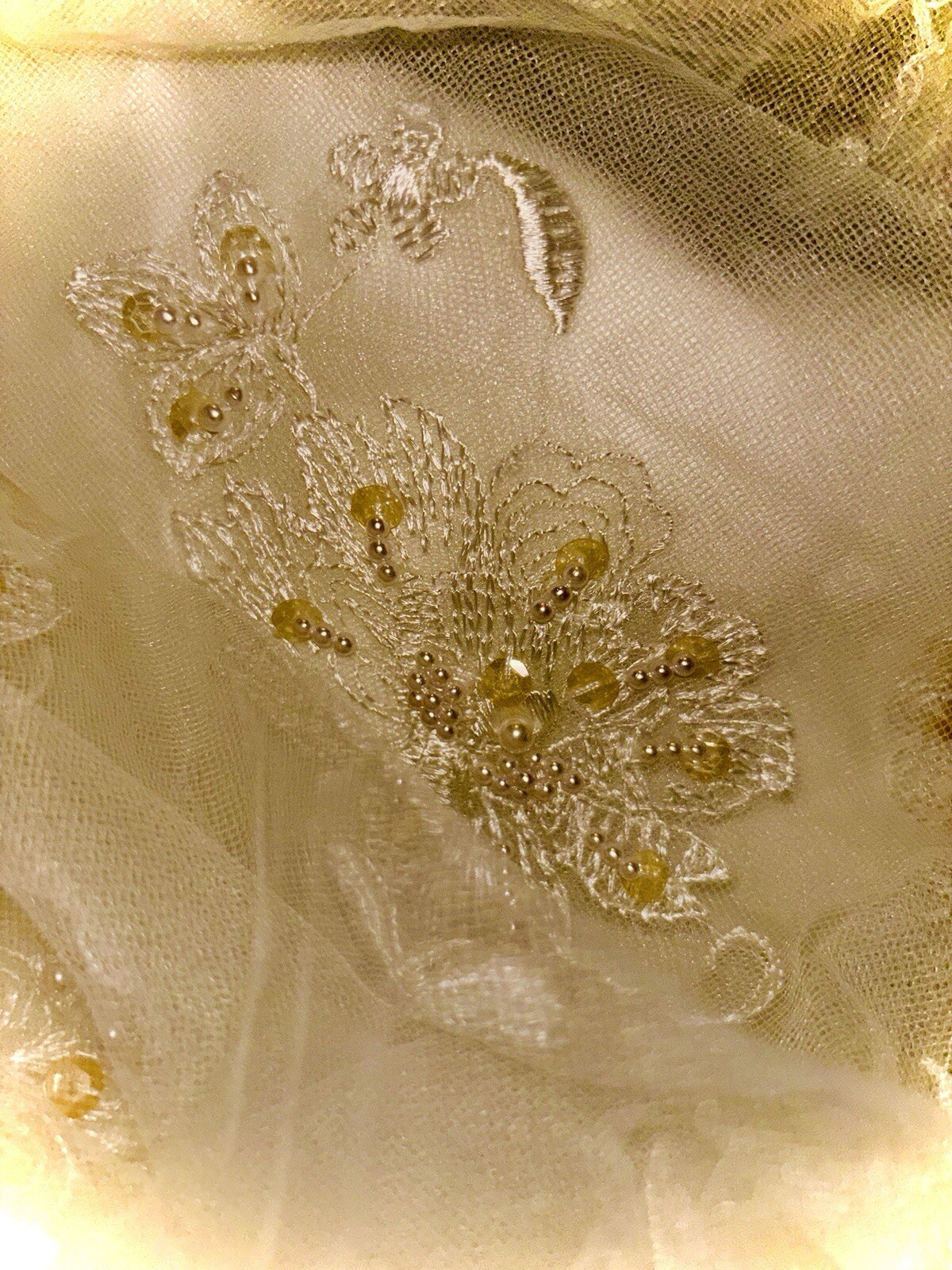 Classy And Classic, Deneki’s, Beaded Lace And Train