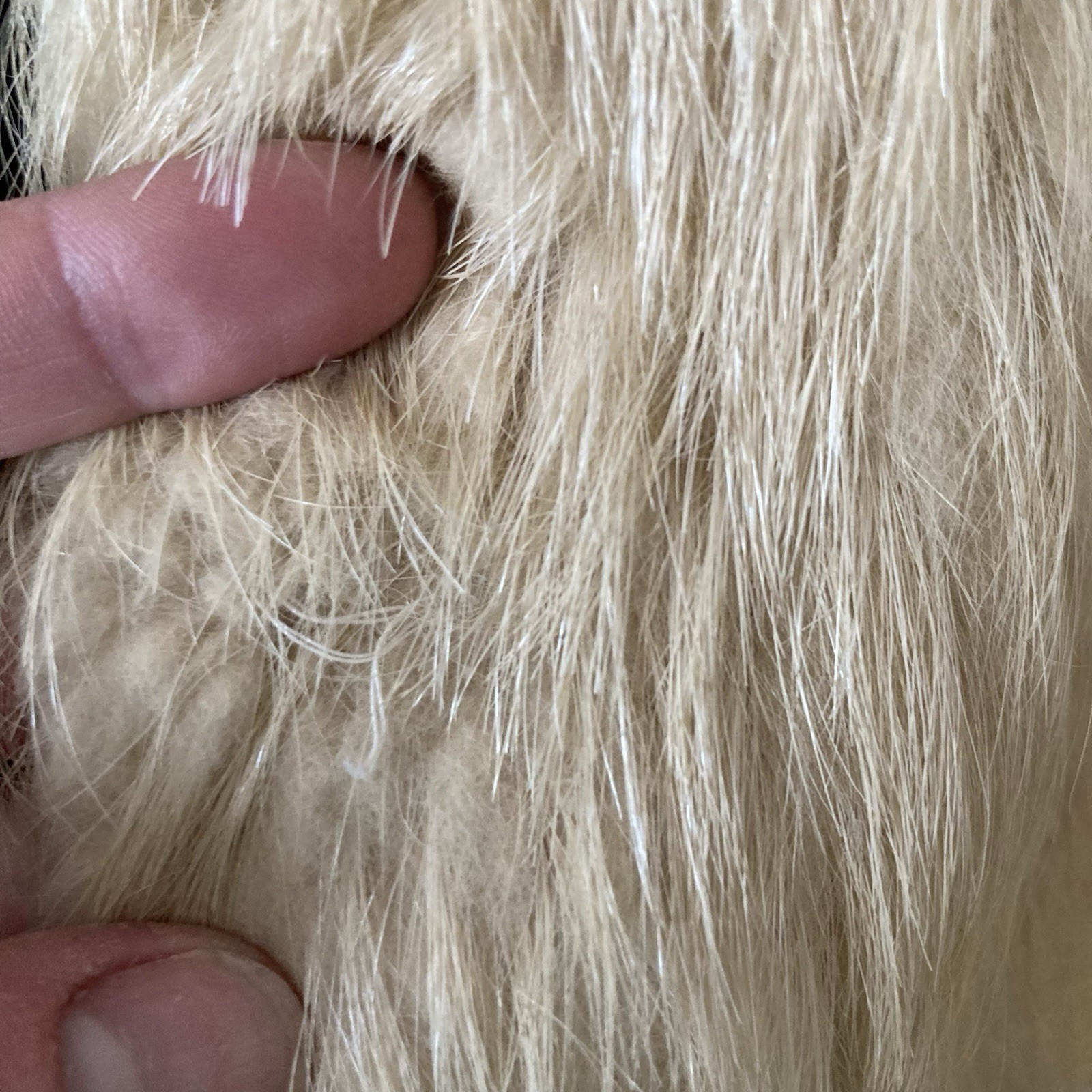 Vintage Real Fur Coat – Likely Nutria – Repair Project / Statement Piece