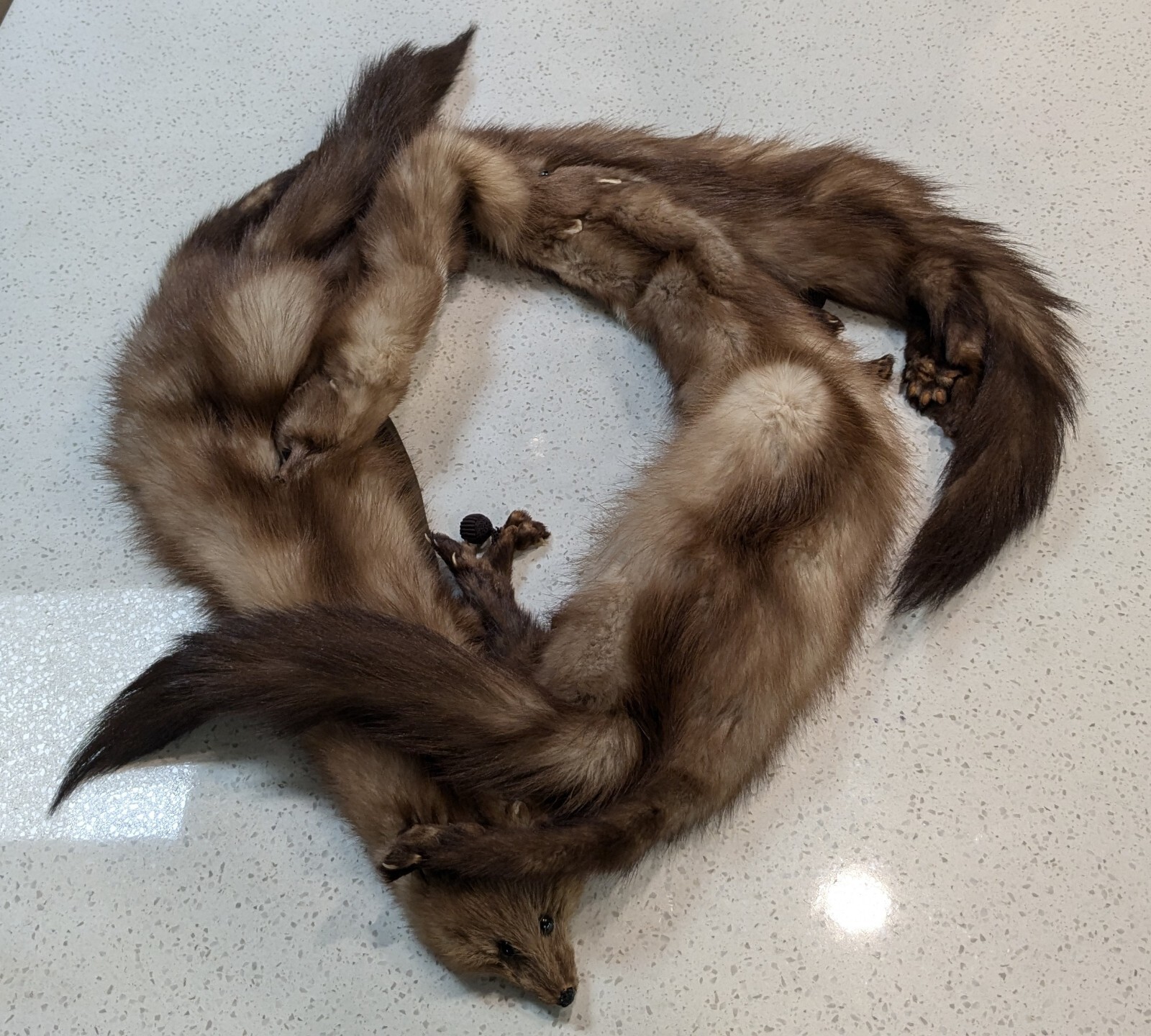 Fabulous VTG Collectible MINK SABLE FUR 3 FULL BODY PELTS Stole WRAP #2
