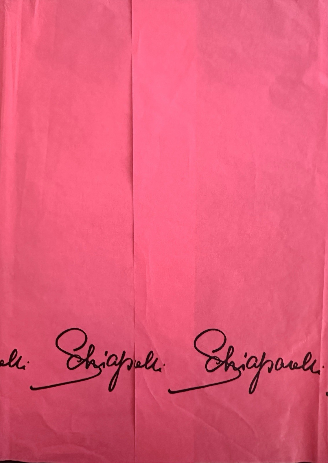 Schiaparelli Light Weight Stockings, 9.5-10 Tall