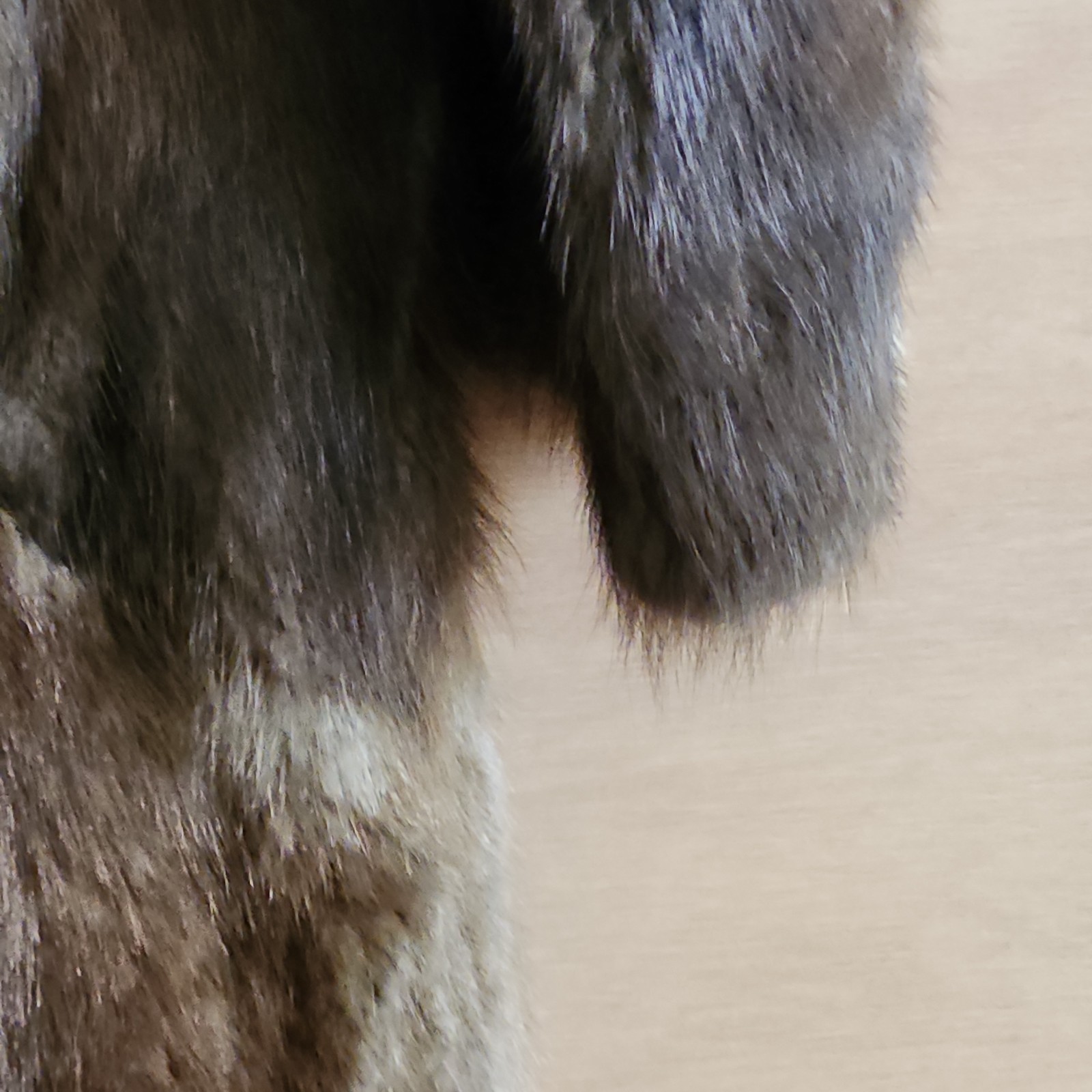 Vintage Rabbit Fur Coat w/ Raccoon Fur Collar & Trim Paisley Lining 41″ -AS IS-