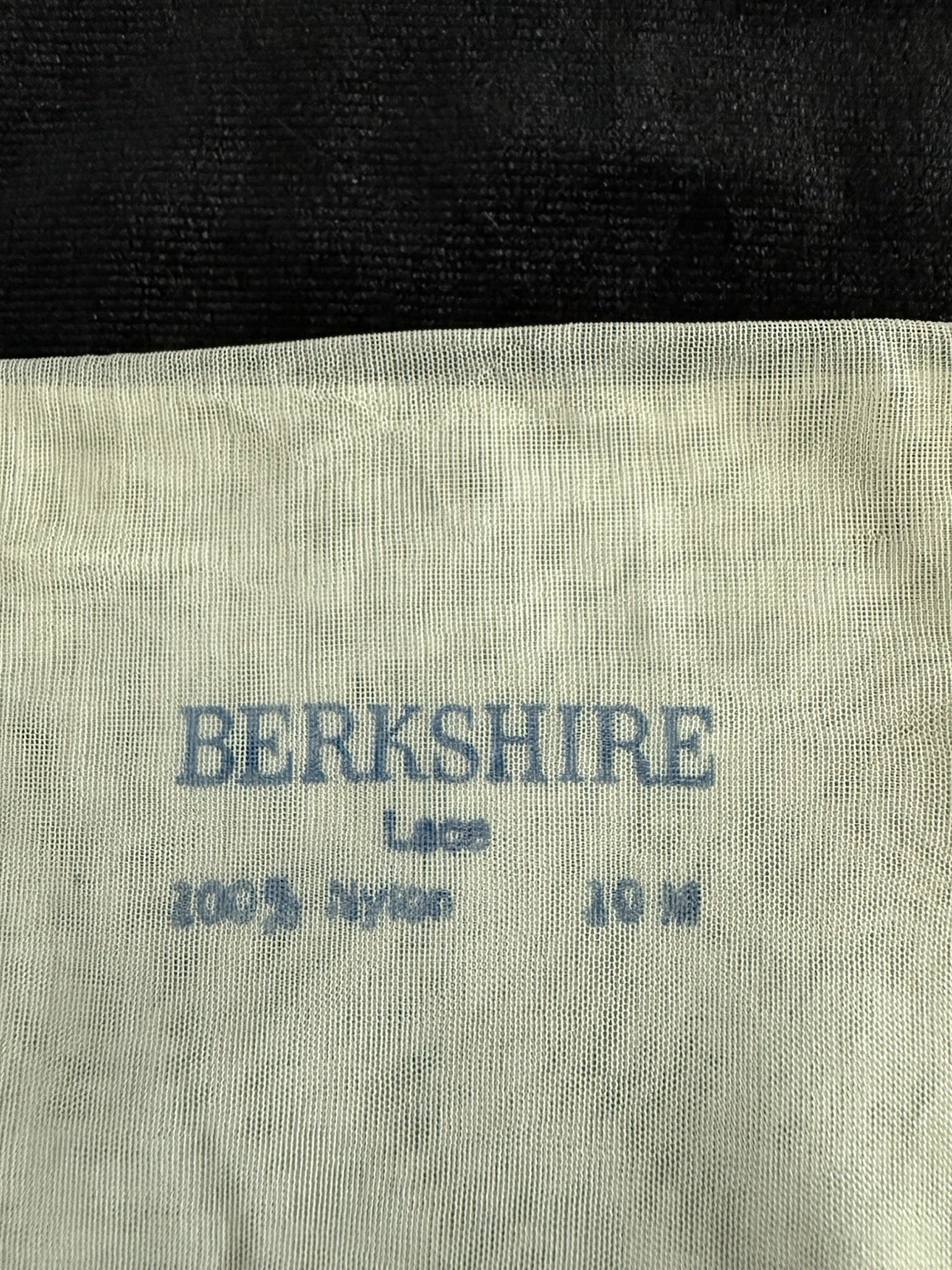Vintage Lace Berkshire Seamless Mesh Stockings 2 Pairs in Box
