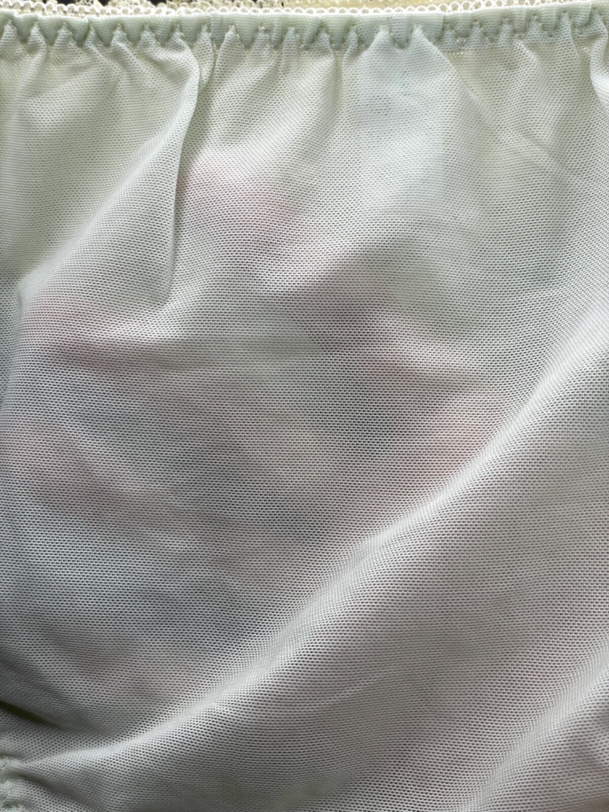Vintage Silky Pale Nylon Mesh Sissy Panty Sz.5 Floral Lace Briefs Hip 34-37″