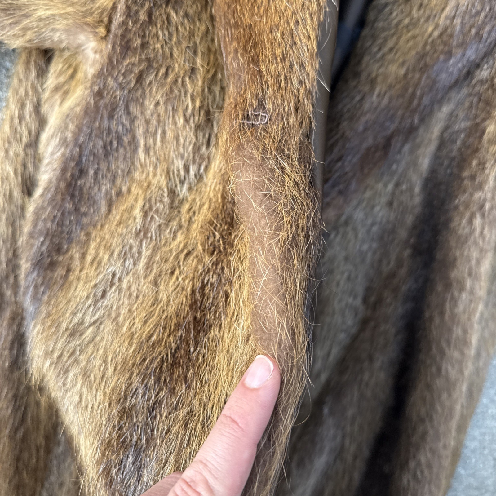 Argentina Golden Nutria Shades of Brown Fur Coat Shoulder Pads SZ M – L
