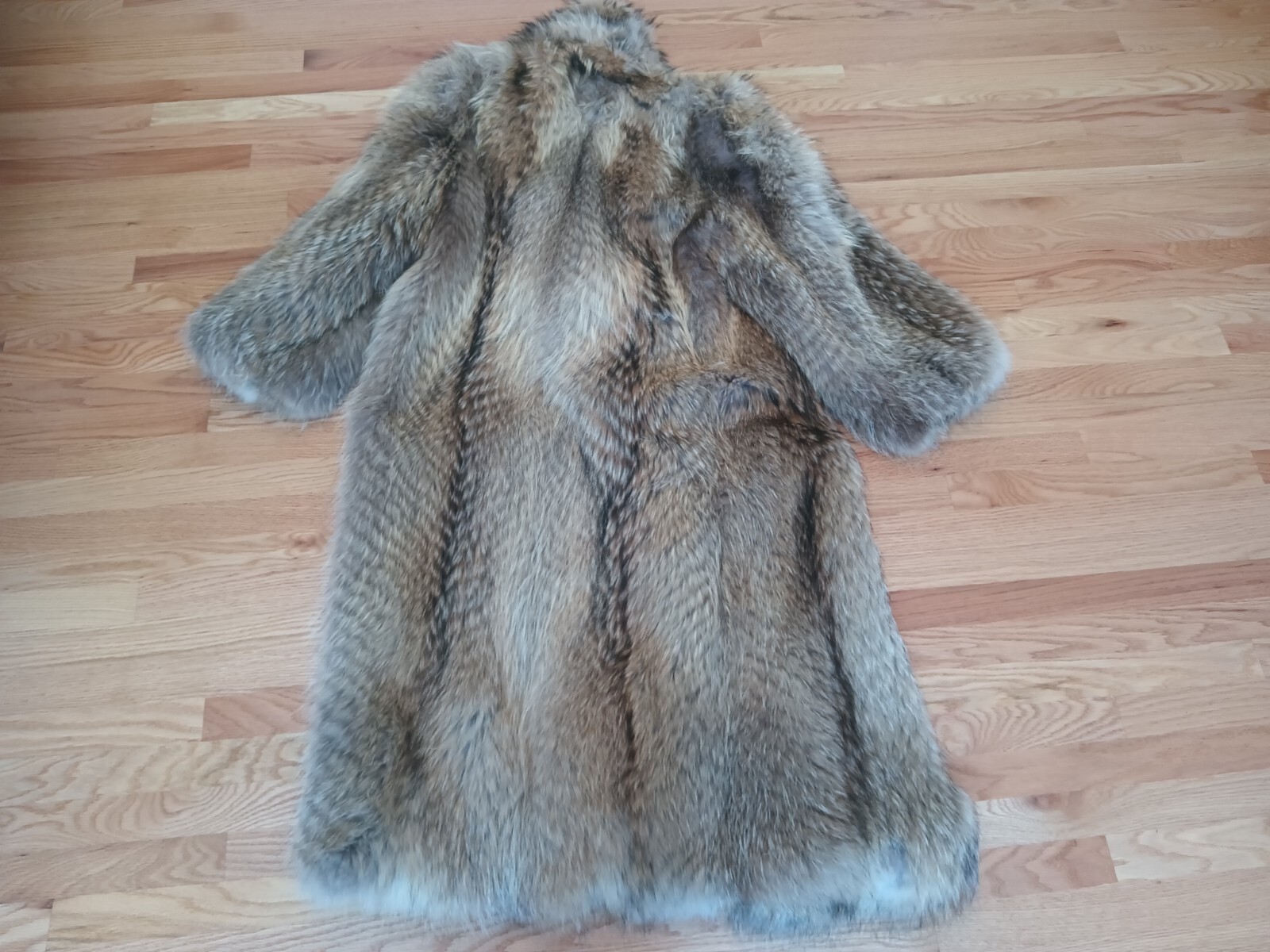 ADOLFO Bold Beauty Collared Feathered Finnish Raccoon Fur Coat Full Length Plus