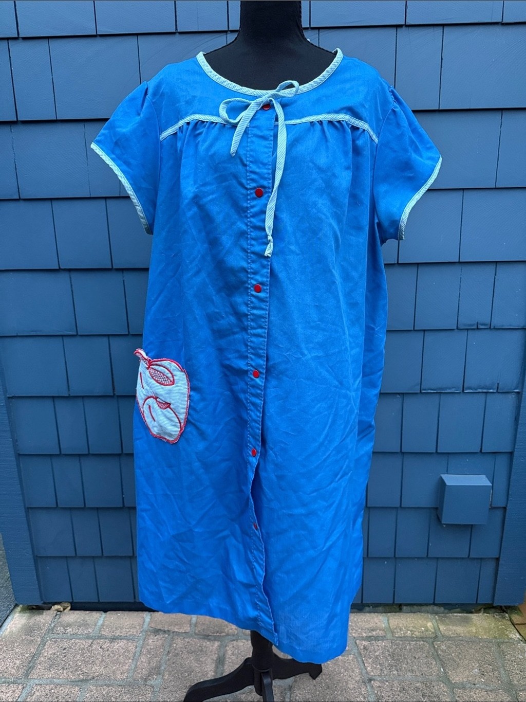 Bright Blue Button-Front House Dress with Red Accents Dan Ellen
