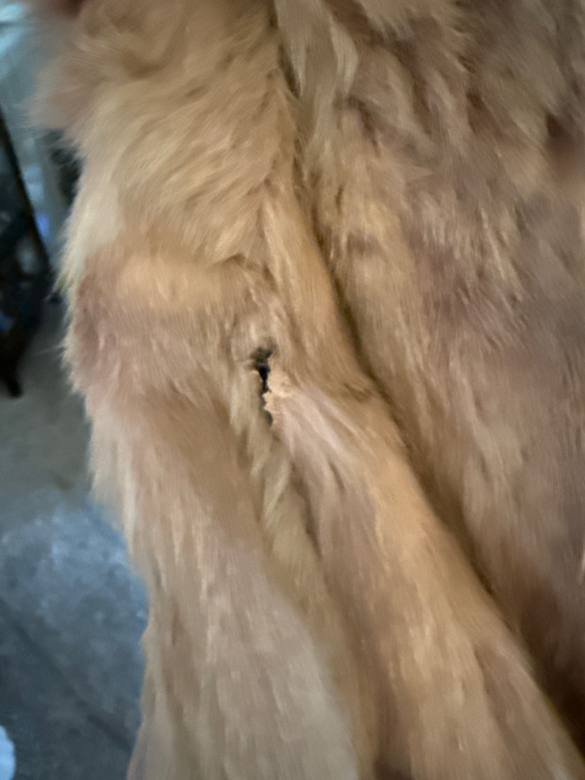 Vintage Maurine Bell Los Angeles Fur Coat Long Tan Blonde Fur Hollywood Glam