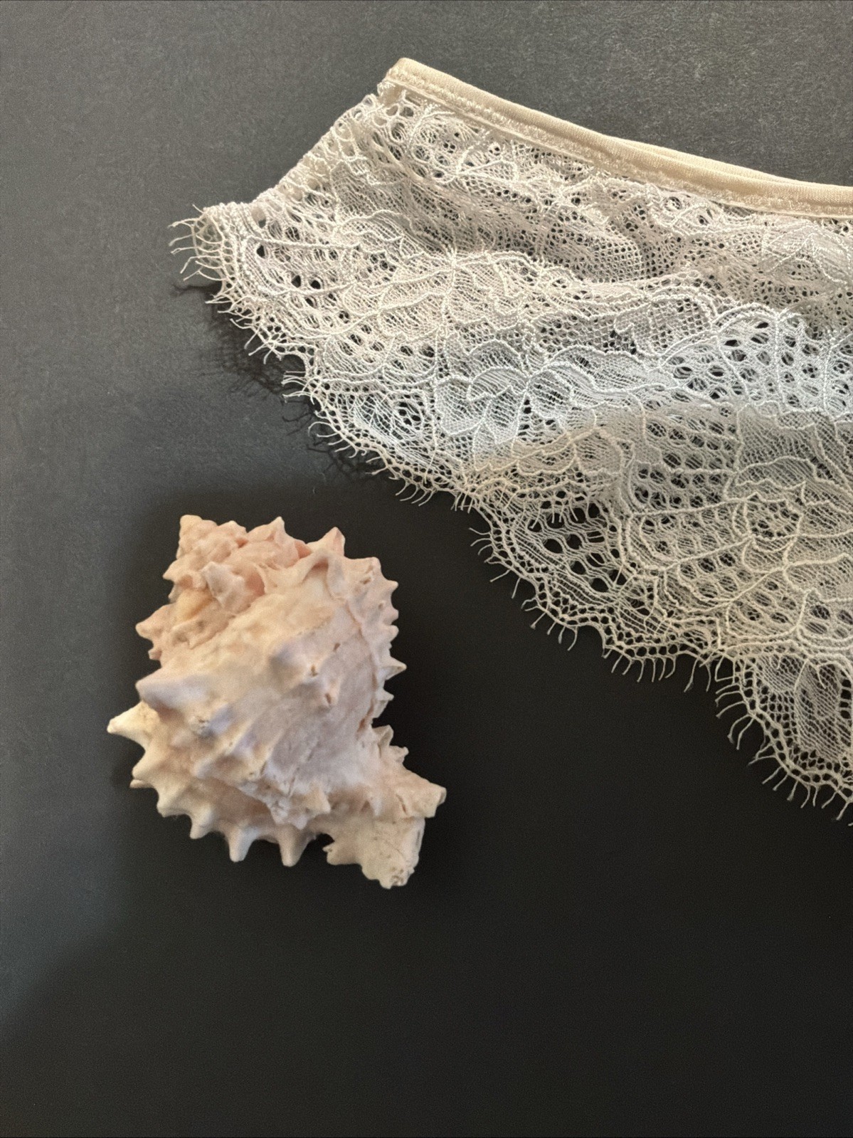 VTG Victoria’s Secret M Coconut Sexy Little Things Lace Panties RARE BLUE LABEL