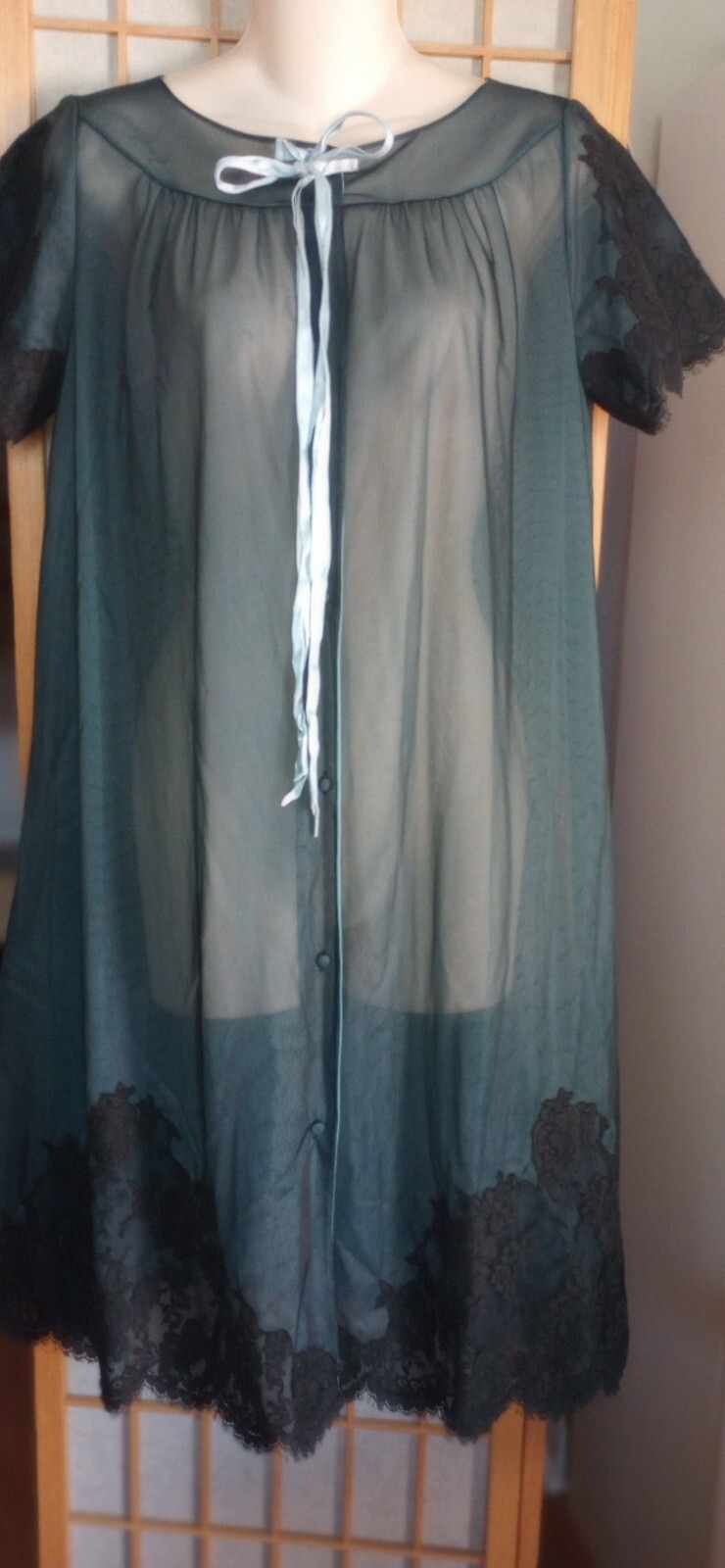 Eye Ful by the Flaums Vintage Nylon Chiffon nightgown sz S Beautiful Lingerie