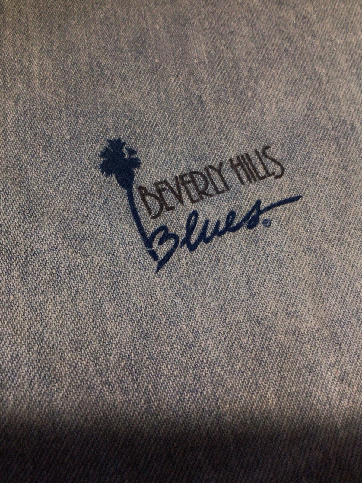 Vintage 80s Beverly Hills Blues Women’s Denim Jean Shorts Y2K