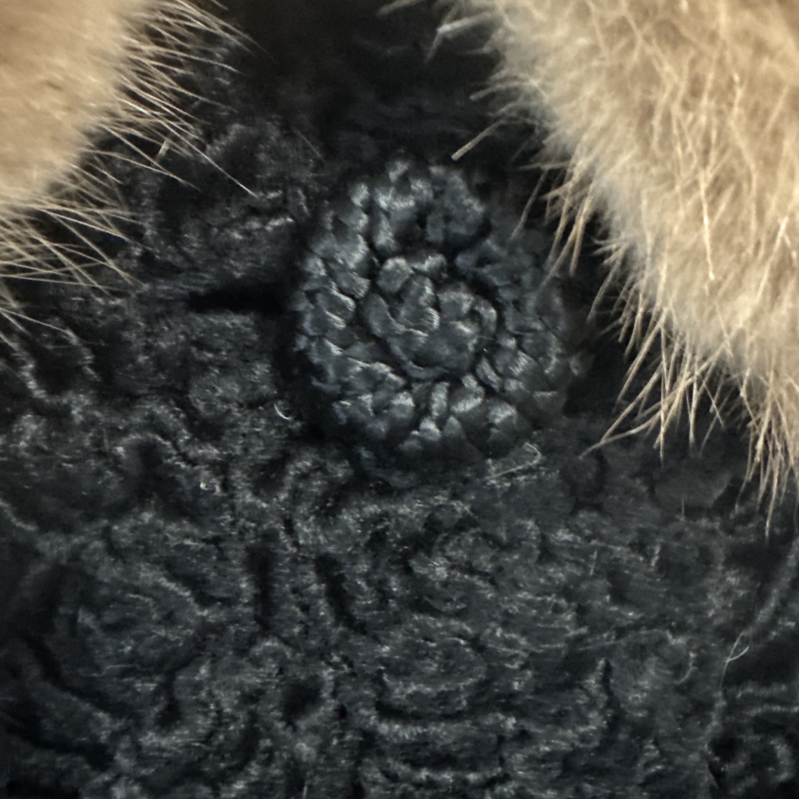Vtg 50’s Astrakin Black Curly Persian Lamb Wool Swing Coat Mink Collar France L