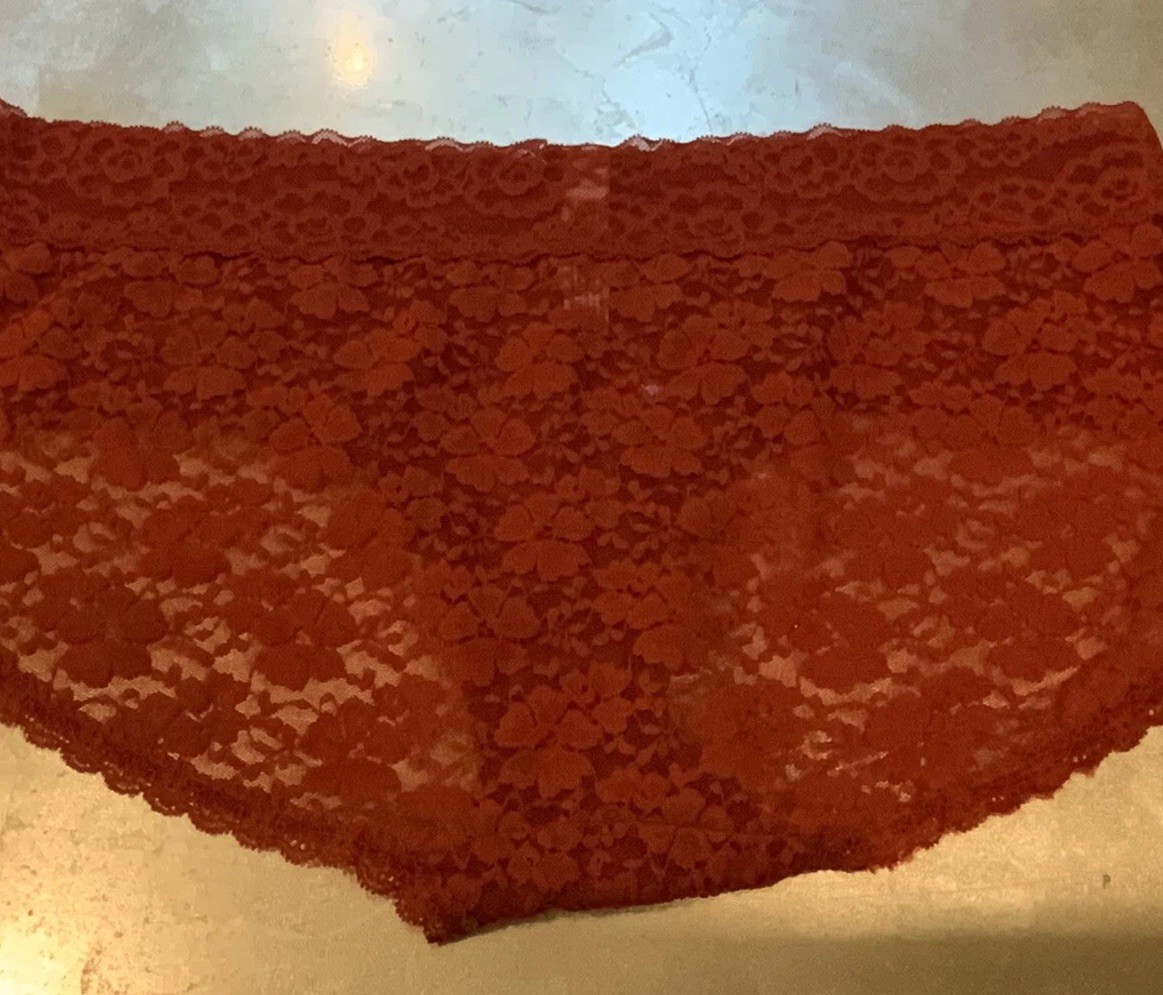 Vtg Auden XL Wine/Rust Sheer Lace Hipster Bikini Panties Panty