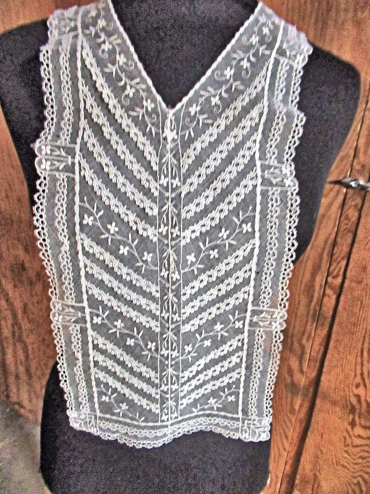 Vtg Lady’s Modestey Panel Dress Insert Schiffli & Limerick Lace Floral Embr Net