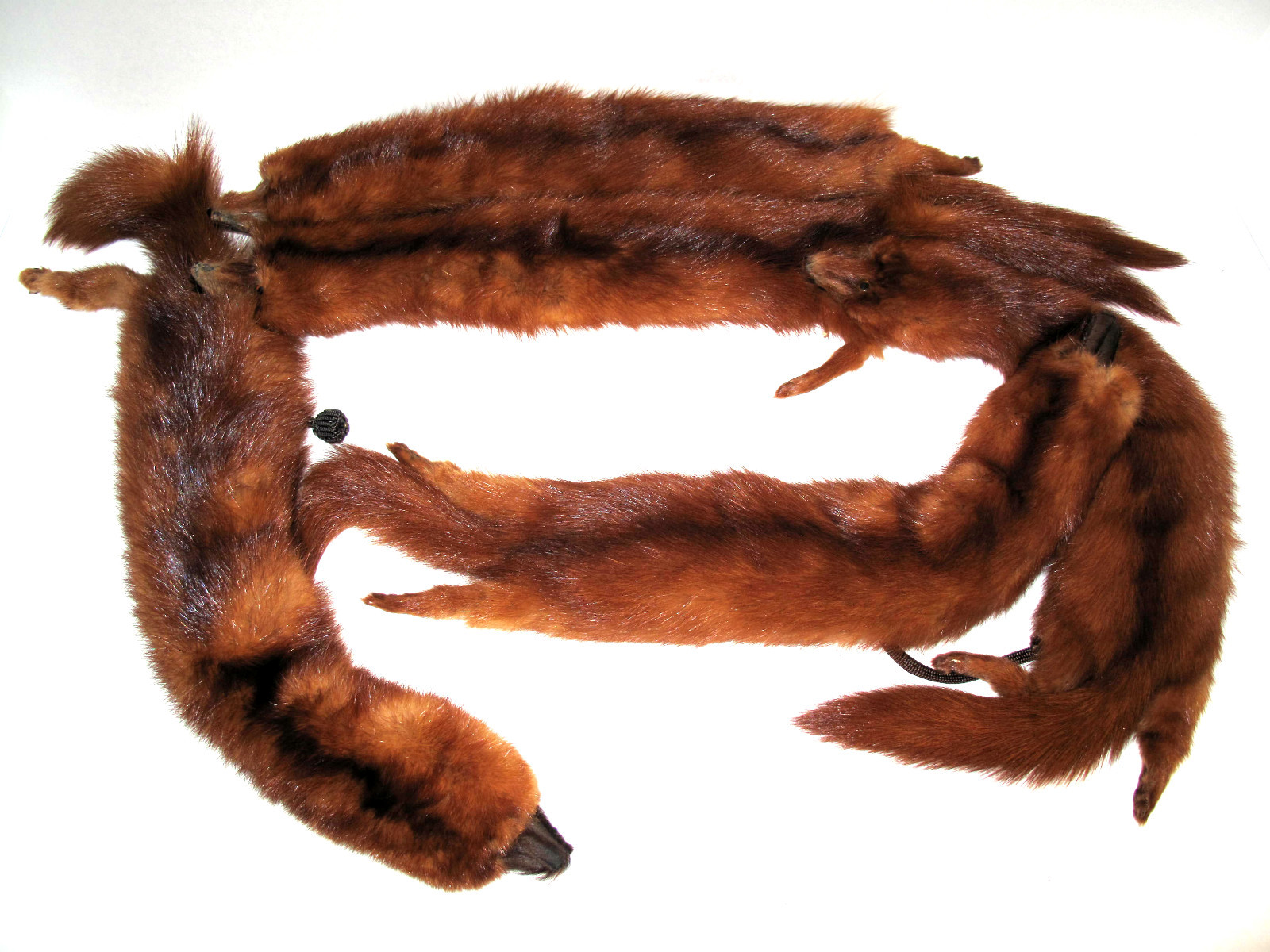 Vintage 5 Pelt Mink Real Fur Stole Scarf Shaw Wrap 48 inches long FURS by Carin