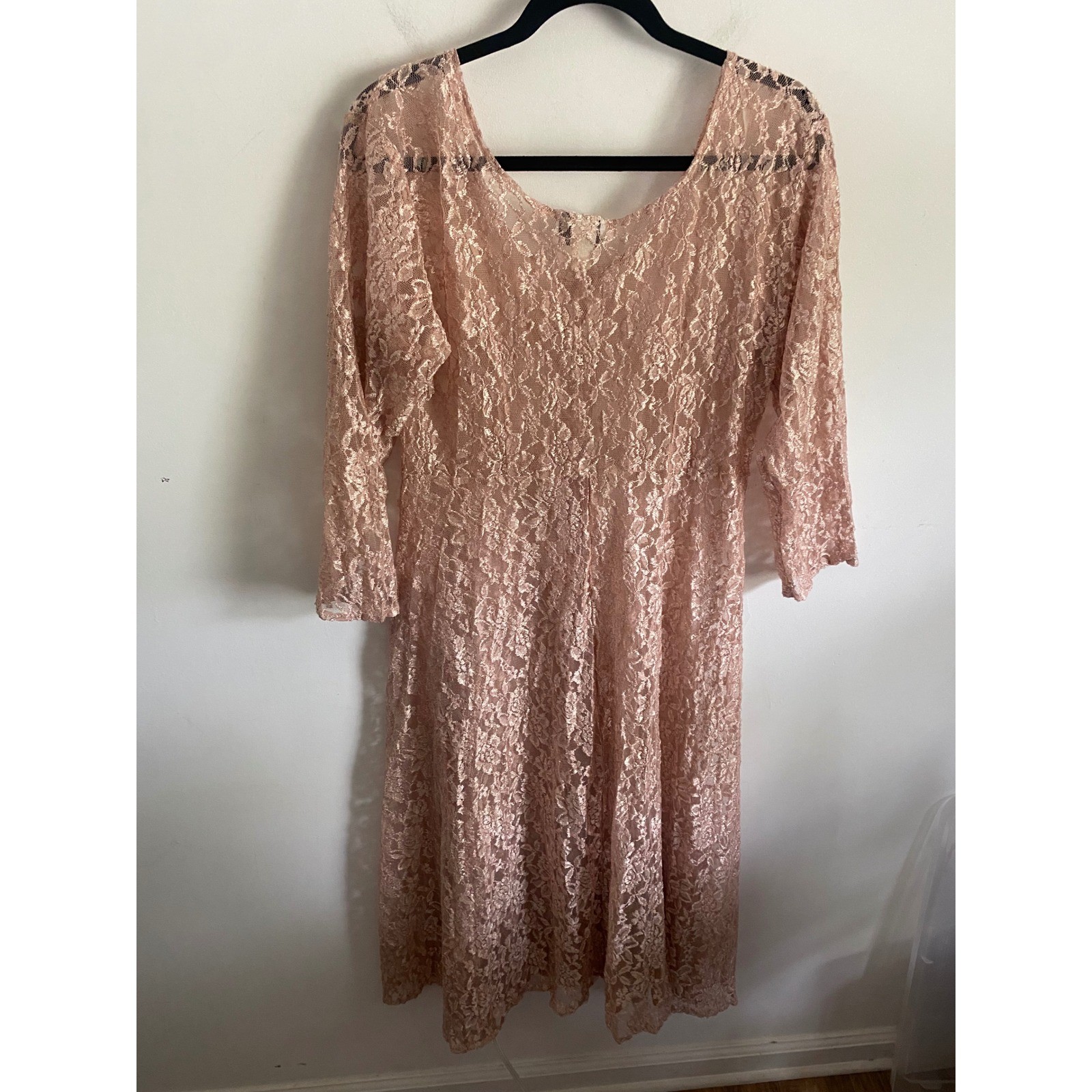 La Chic Vintage Pink Lace Midi Dress Sheer Button Front Rose Buttons USA