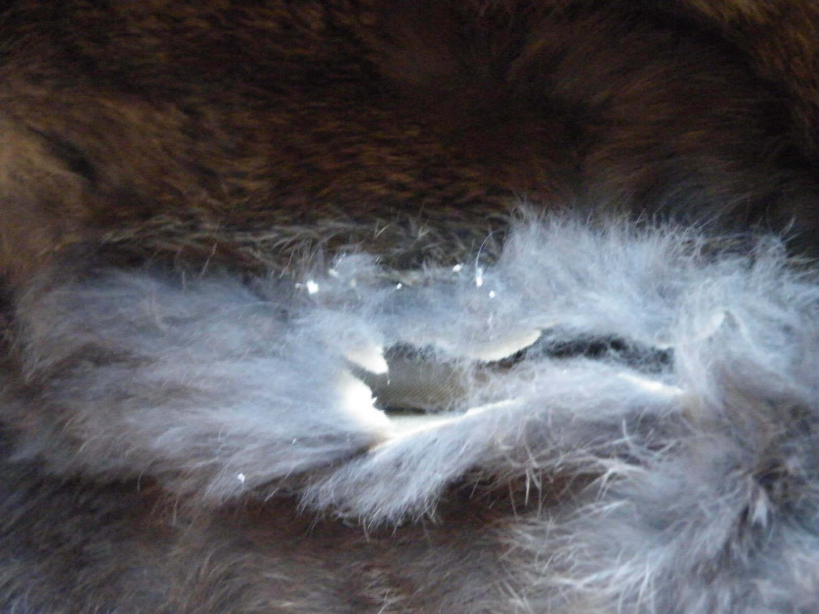 READ „AS IS” Rabbit FUR Women’s Coat PATCHWORK with LABEL Jacques Saint Laurent