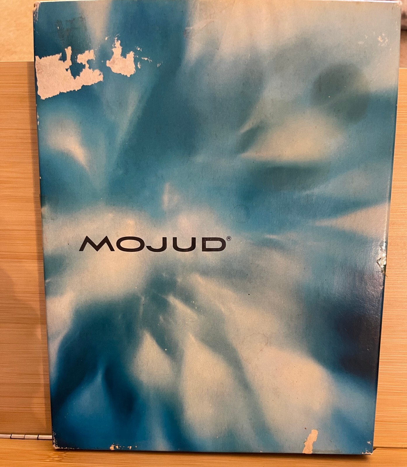 Vintage MOJUD Nylon Stockings 1 Pair Blush 9M