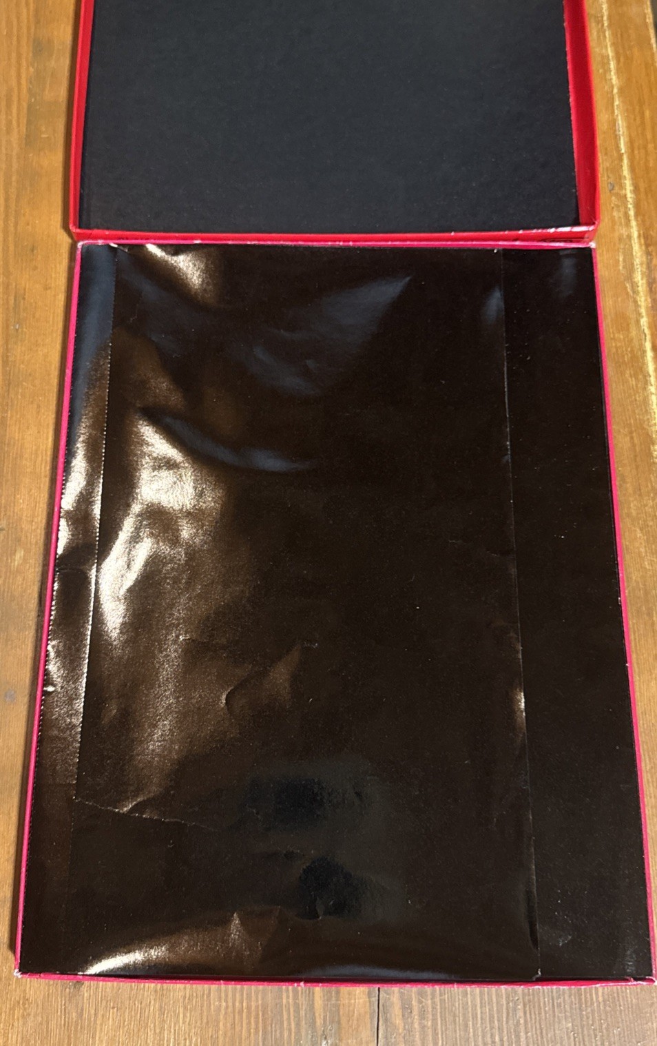 Vintage 50s SCHIAPARELLI SUPP-HOSE Sheer Stockings Garter Top 9-1/2 XL NIB