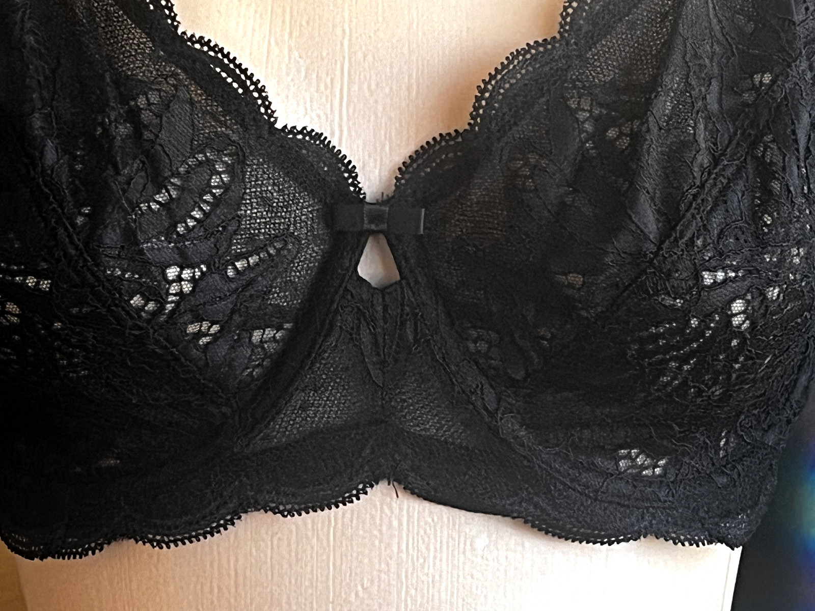 PARAMOUR by FELINA Peridot 40C Sheer Black Lace Underwire Bra #115073 NWT
