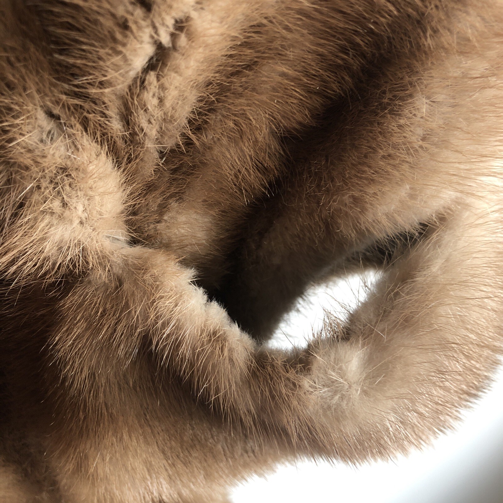 Vintage Autumn Haze Emba Natural Brown Mutation Mink Arm Slits Fully Lined Mint