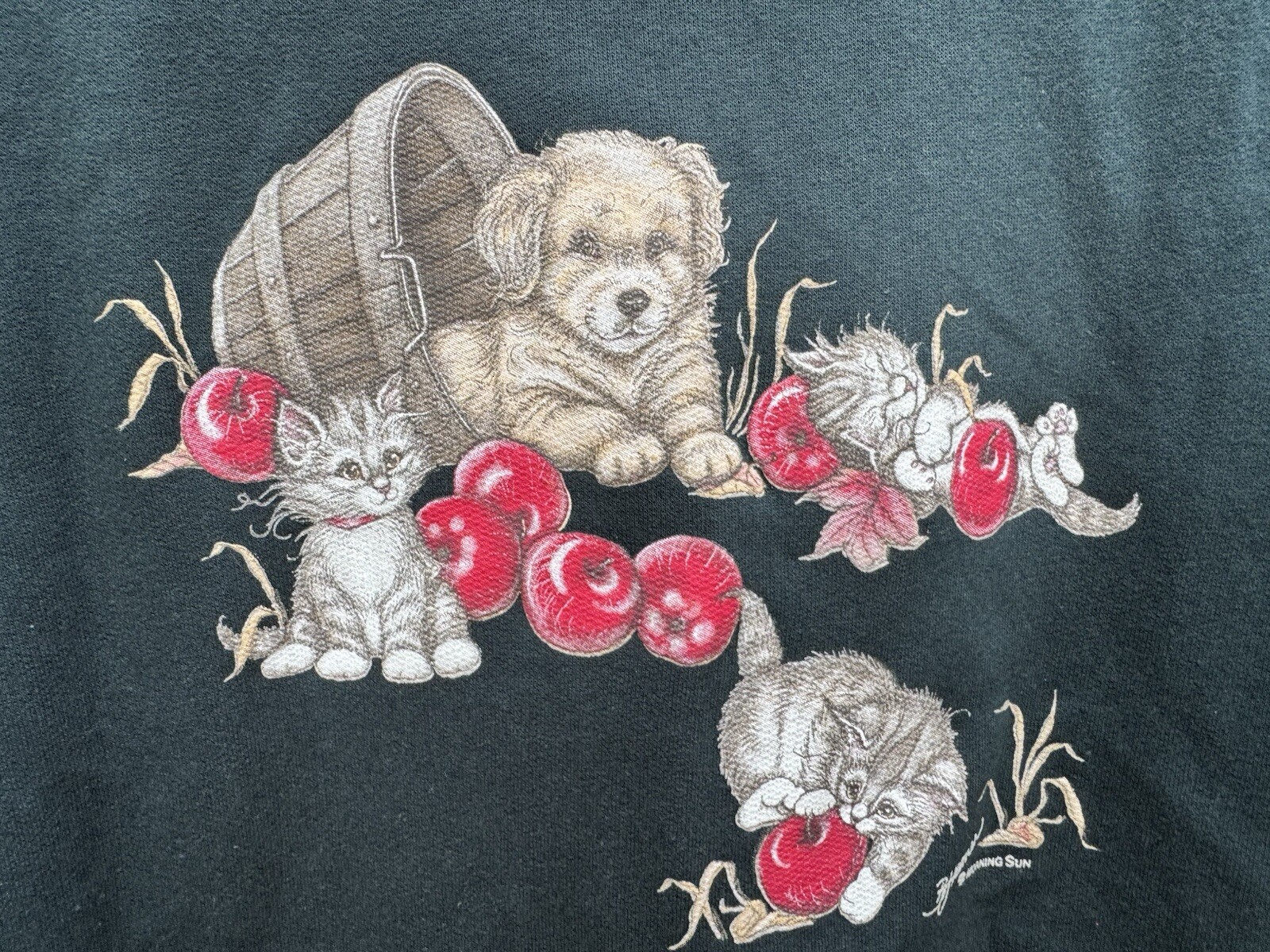 Vintage Kitten Puppy Dogs Cats Sweatshirt 80s 90s Apple Harvest Grannycore Fall