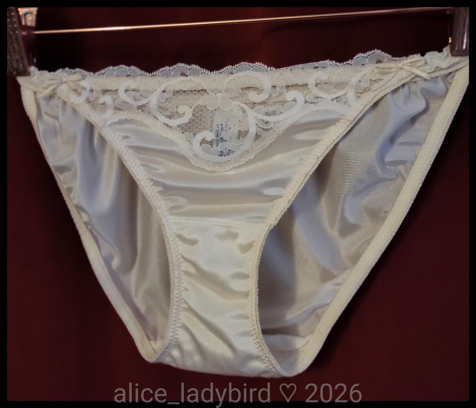 Vintage MAIDENFORM Sweet Nothings PANTY String Bikini BRIEF Chantilly LACE S/5
