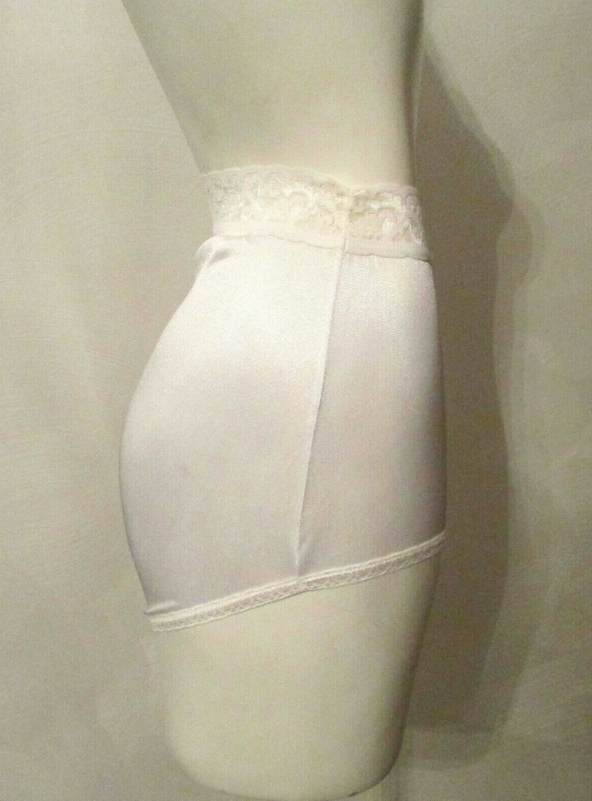 Hanes Shiny Silky Semi Sheer Nylon Lace Waistband Full Cut Granny Brief Pantie 5