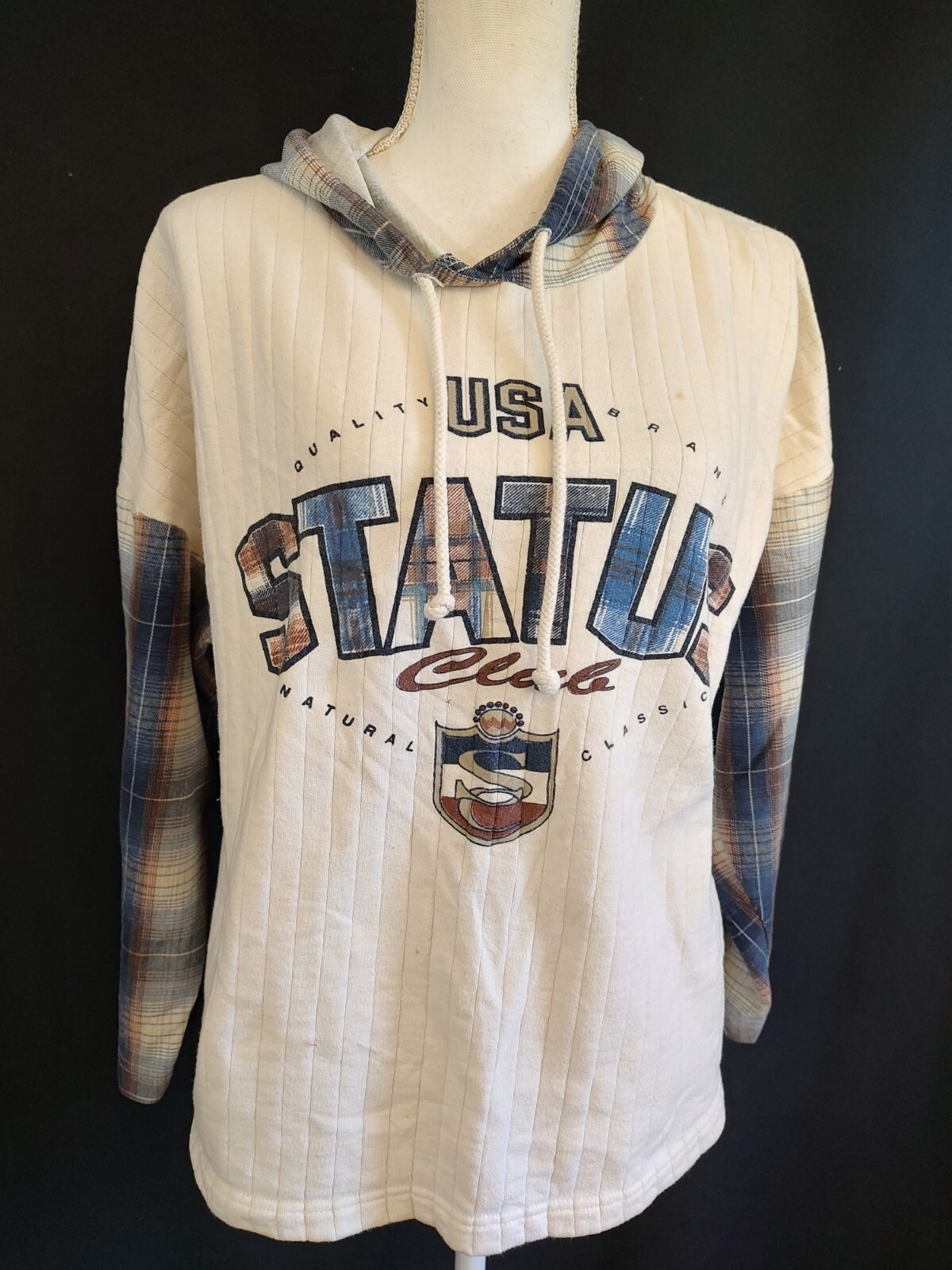 90’s Vintage Hoodie Shirt Grunge Plaid Sleeve USA Status Club Chest Graphic L/XL