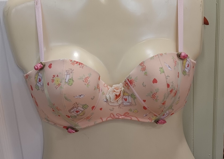 Hillard & Hanson 38D Intimates Coquette Romantic Feminine Rosette Balconette Bra