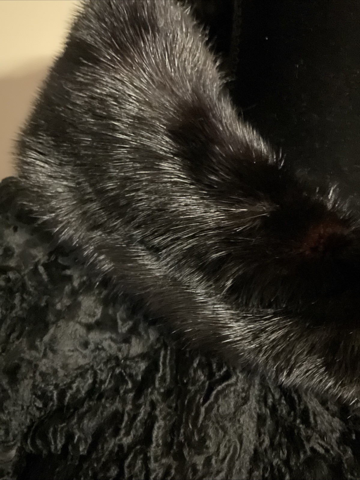 Vintage 1960s Black Curly Lamb Jacket Dark Brown Mink Collar, Black Fur Jacket
