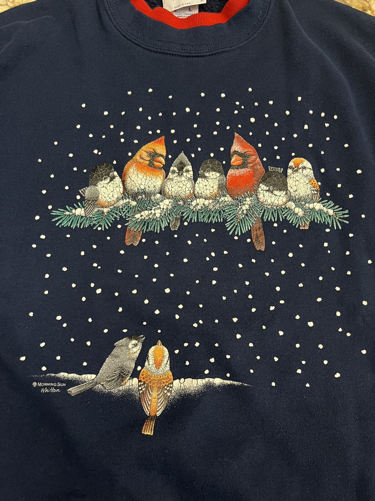 Vintage Sweatshirt Cottage Grandma Core Red Cardinals Bird Feeder Large