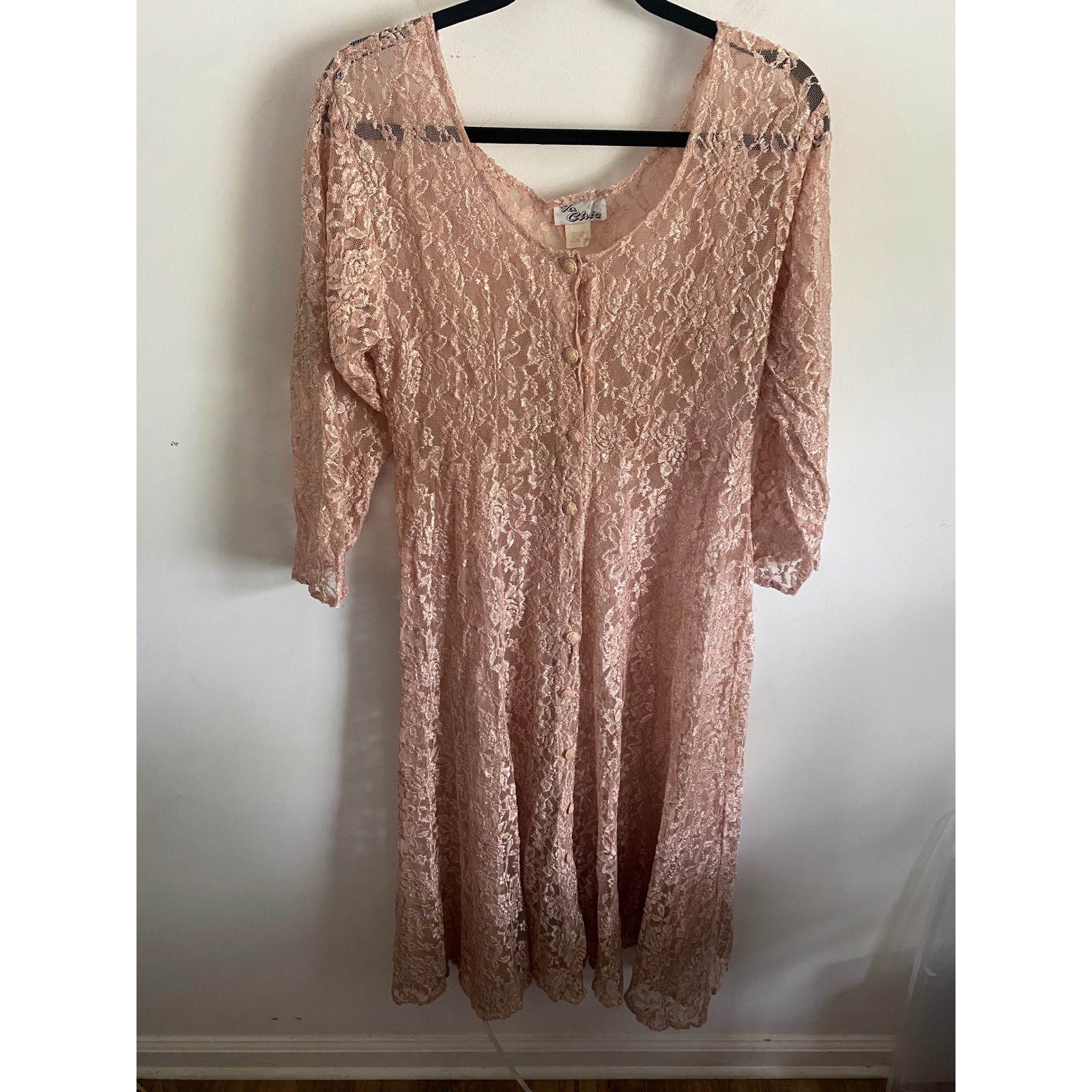 La Chic Vintage Pink Lace Midi Dress Sheer Button Front Rose Buttons USA