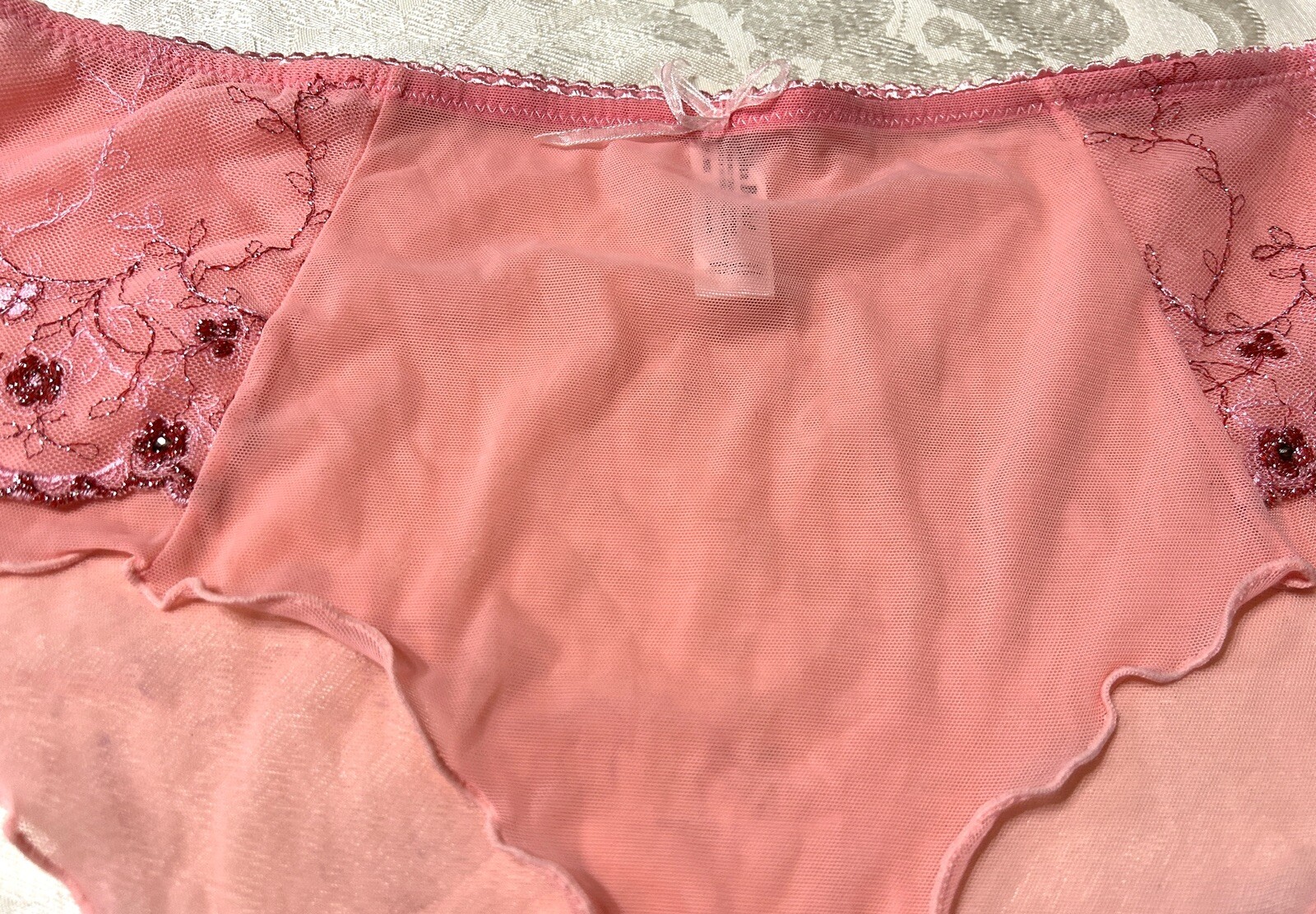 NWOT Vtg DELTA BURKE 6414 Embroidered Sheer Mesh Hipster 9/2X Pink Panties #108
