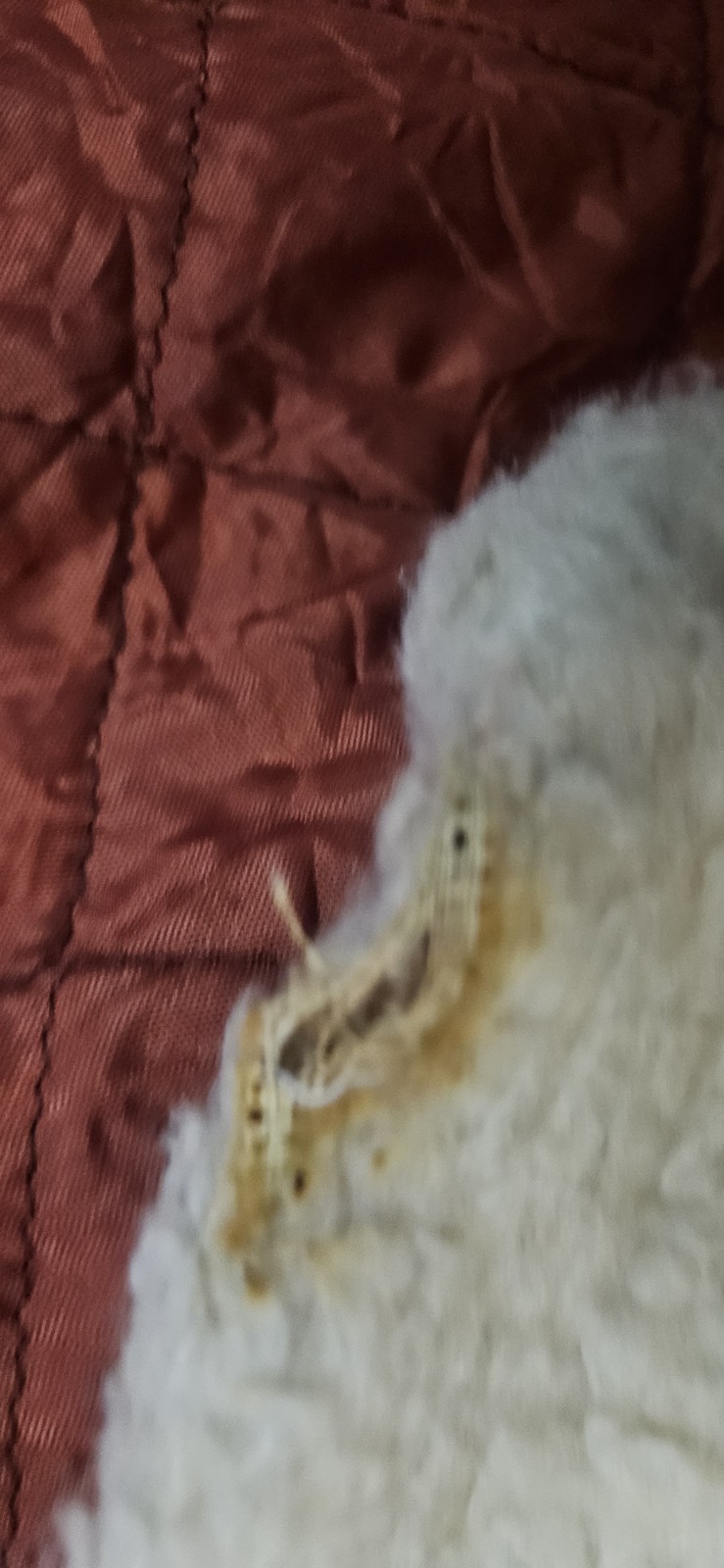 VTG Happy Legs Faux Fur Buckle Vest Women’s XS