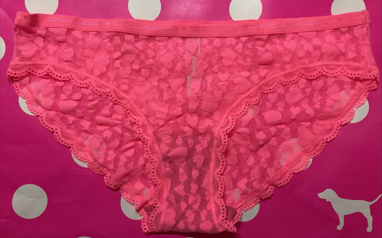 2014 Victoria Secret Vintage Stretch Lace Logo Bikini Panties M Hearts Sheer