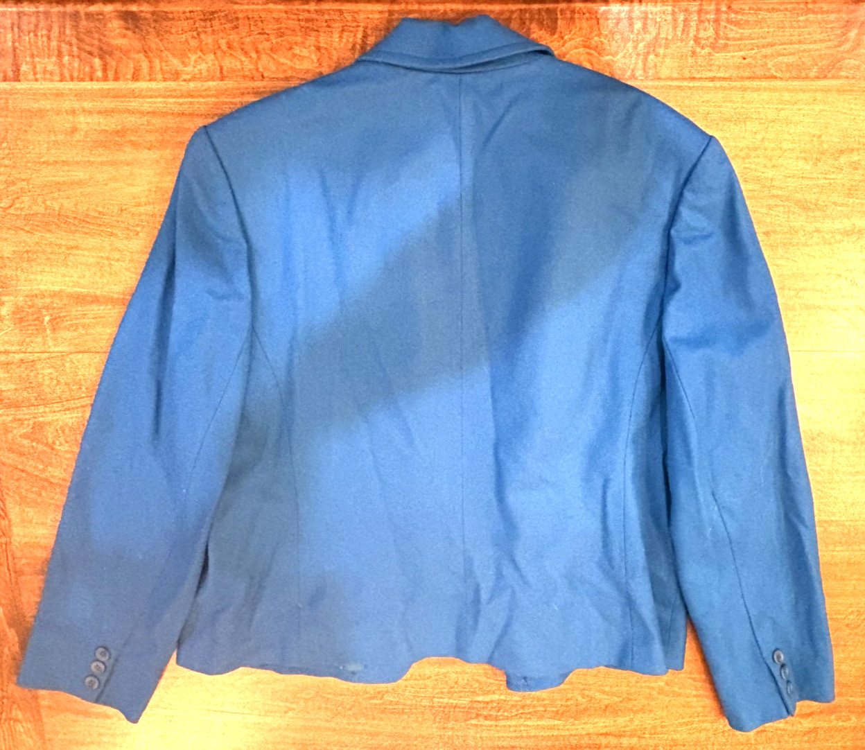 Vtg Pendleton 100% Virgin Wool Blue Blazer Jacket Classic Womens Sz 14