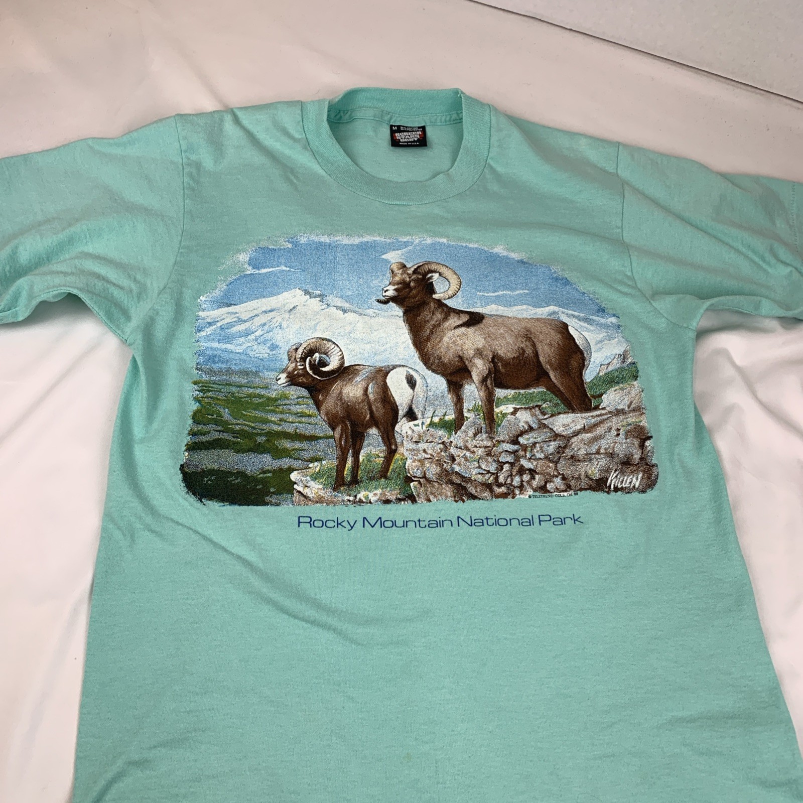 Vtg Screen Stars Best Made In USA Med T Shirt Single Stitch 1988 Women’s Green