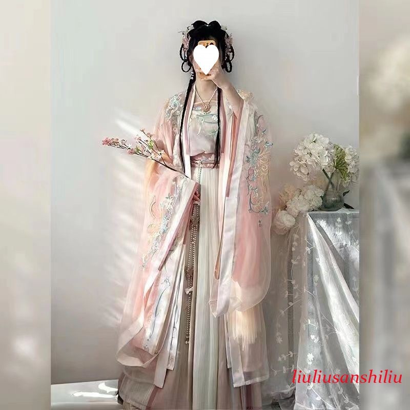 Ancient Chinese Traditional Women Song Dynasty Embroidery Print Hanfu Dress