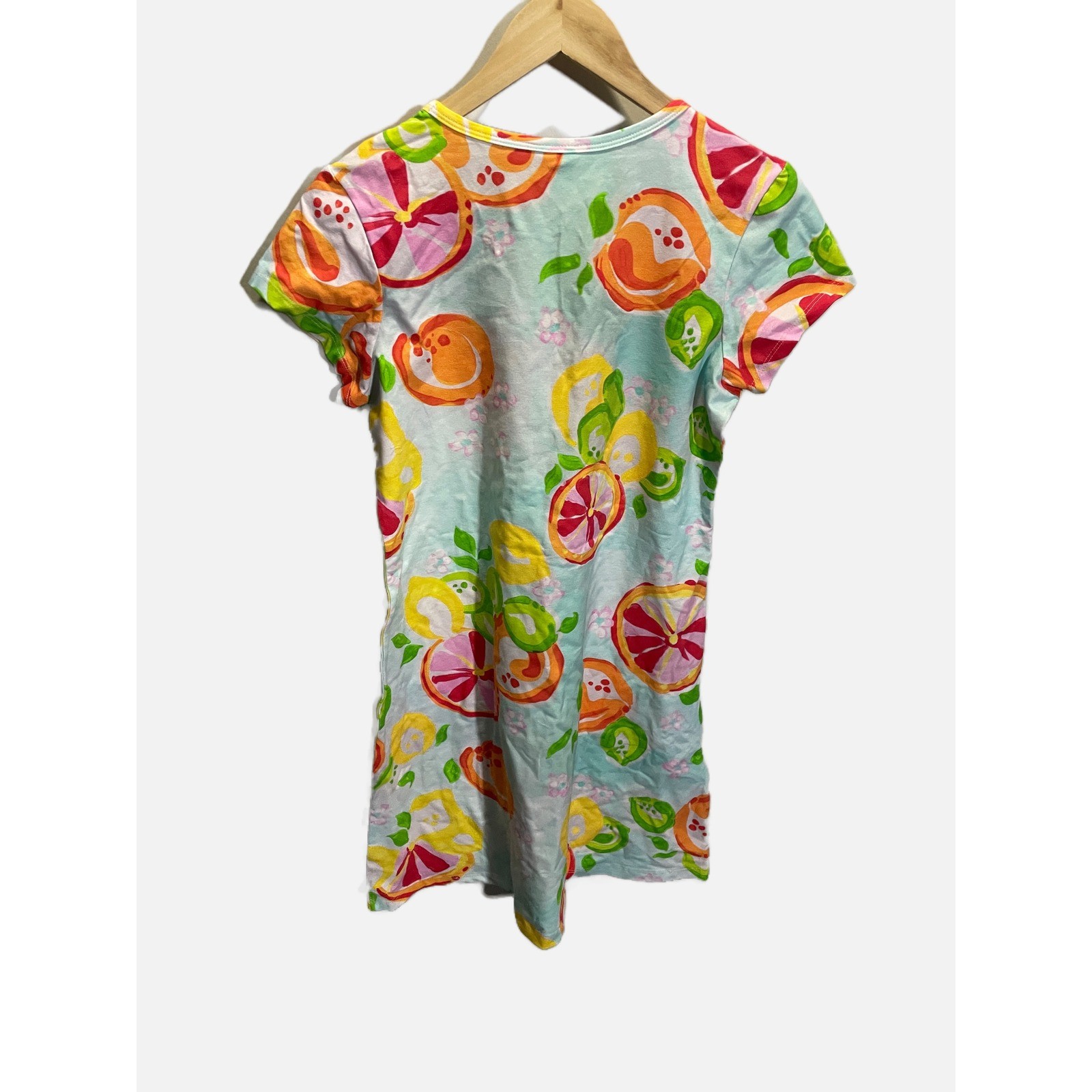 Haley and the Hound T-shirt Dress Small Blue Citrus Fruit Print Summer Coastal