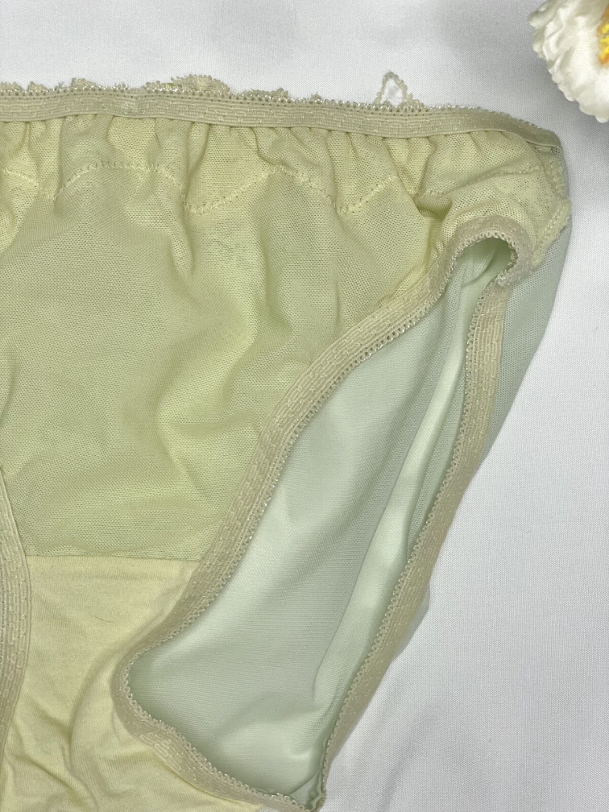 Vintage Silky Pale Nylon Mesh Sissy Panty Sz.5 Floral Lace Briefs Hip 34-37″