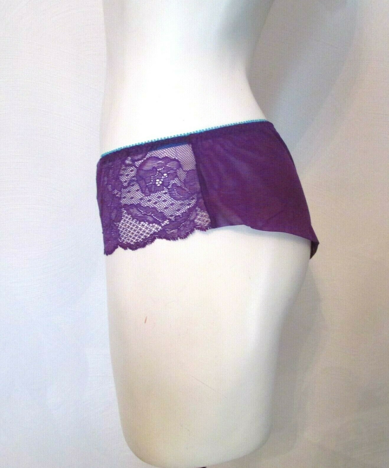 Victoria’s Secret Purple Mesh back Chantilly Lace Front Hiphugger Bikini Panty M