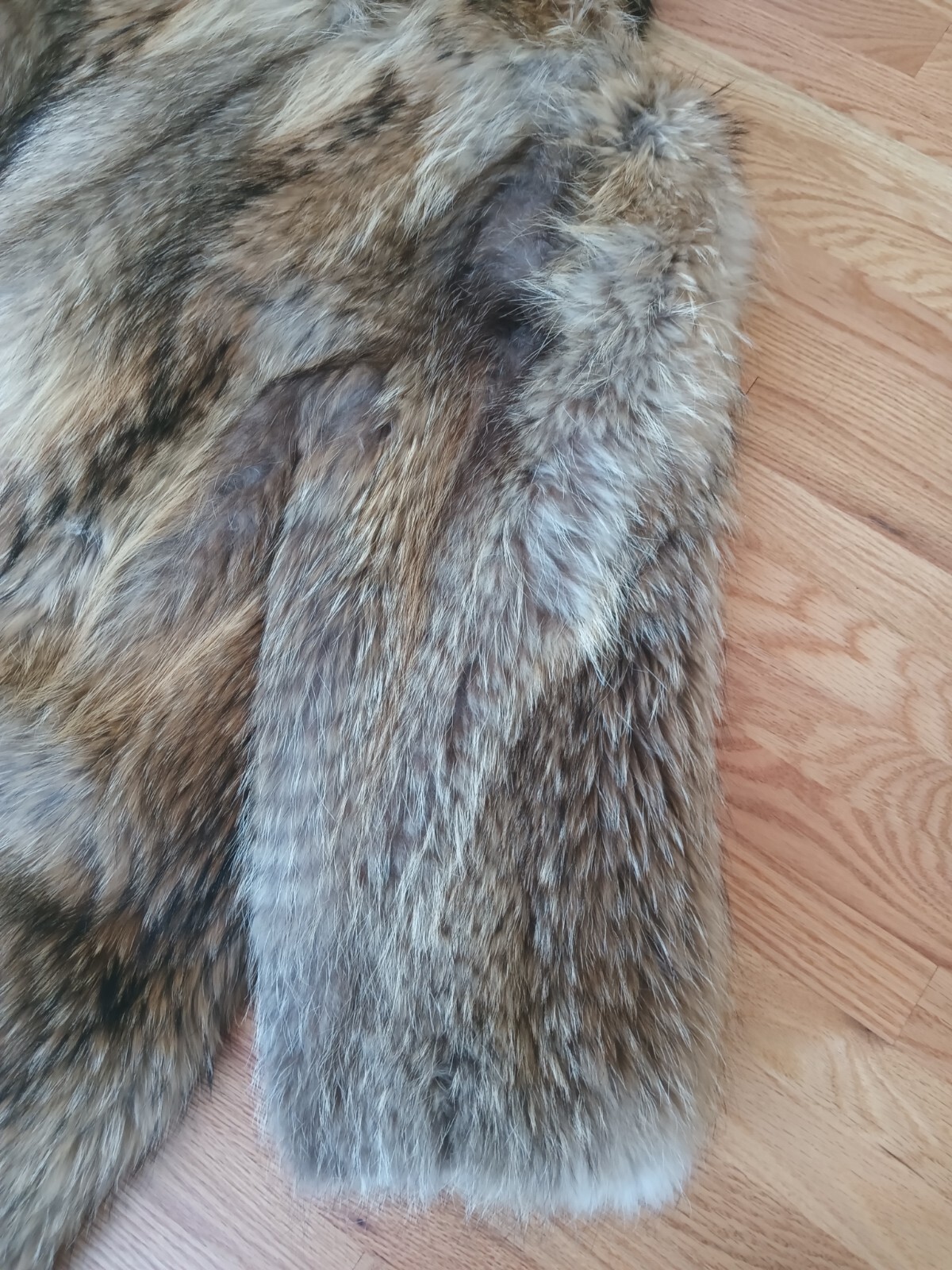 ADOLFO Bold Beauty Collared Feathered Finnish Raccoon Fur Coat Full Length Plus
