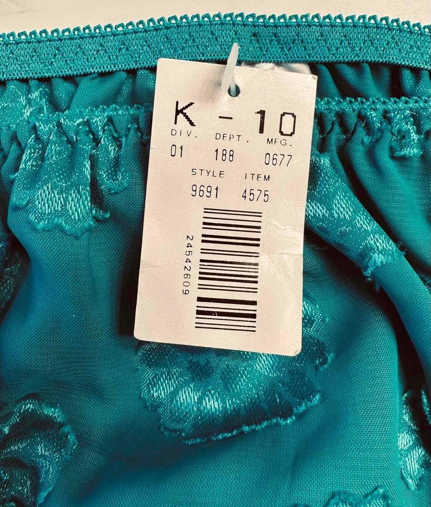 CHIC by H.I.S. Vintage String Sheer Green Bikini Panty Panties – NEW size 8