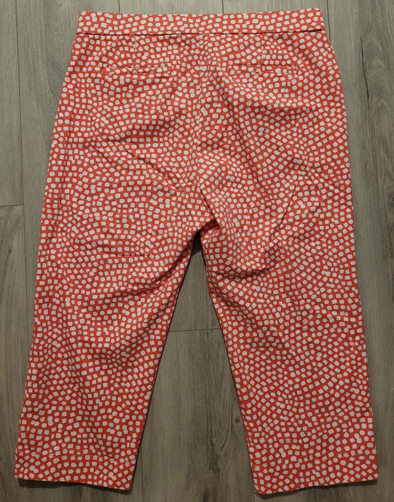 CORAL BAY WOMEN DRESSY CASUAL CAPRI LONG SHORTS SIZE 10 STRETCHY SLACKS PANTS
