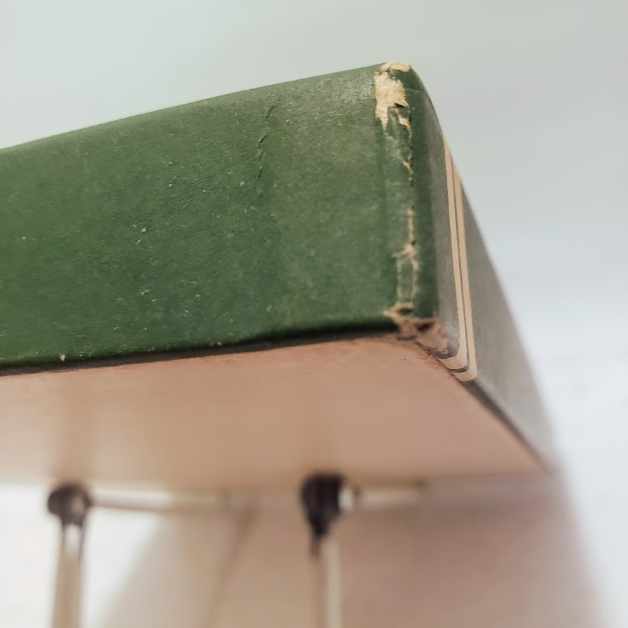 VTG 1930s Art Deco Hosiery Box Full Fashioned Stocking Display Scottie Dog Green