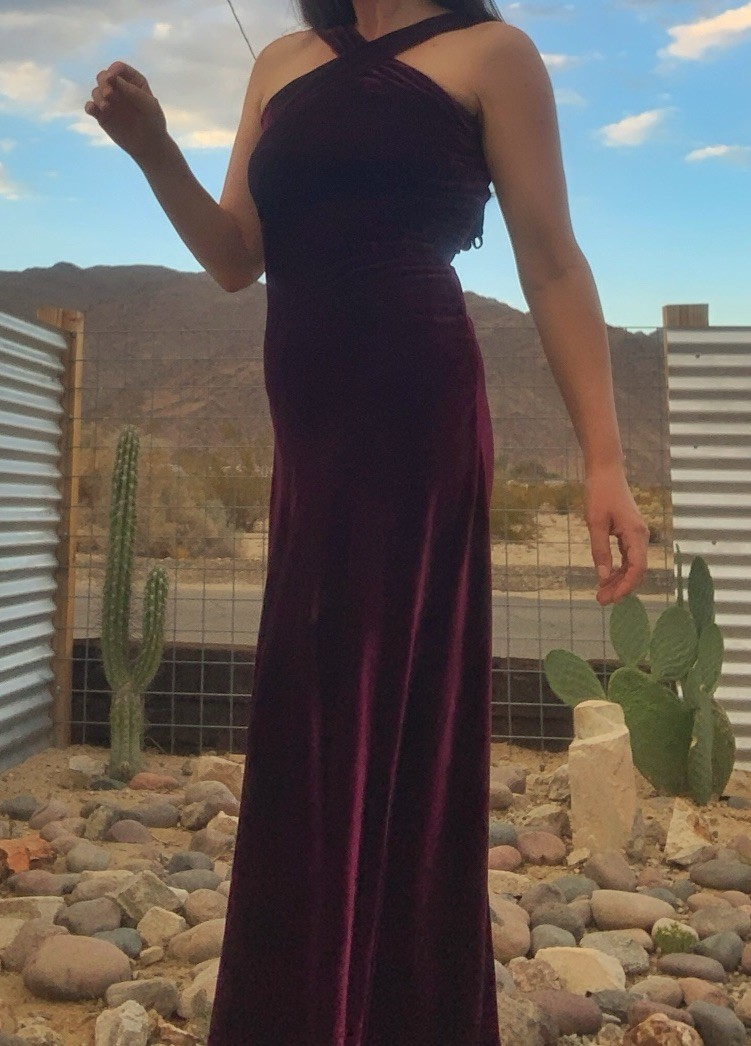 Antique 1930s Merlot Silk Velvet Gown With Criss Cross Halter Neckline