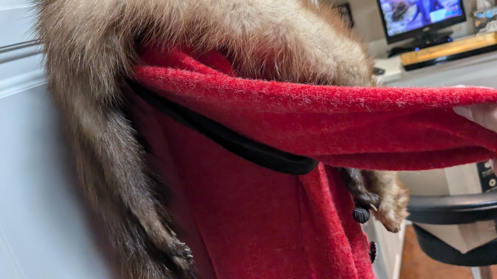Fabulous VTG Collectible MINK SABLE FUR 3 FULL BODY PELTS Stole WRAP #2