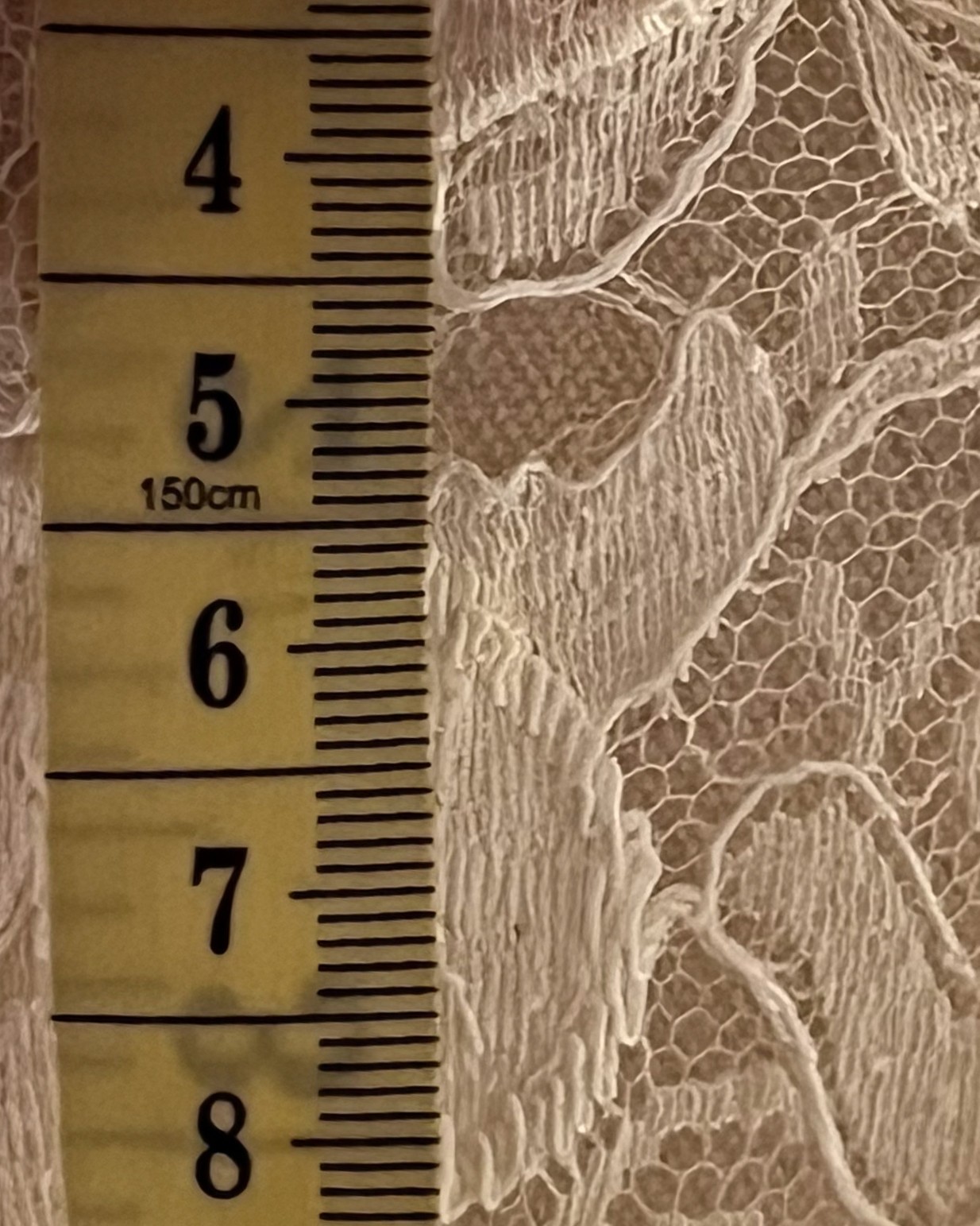 Rare 1930s Sheer Chantilly Lace Wedding Dress Gown – Long Catherdral 2.5m Train
